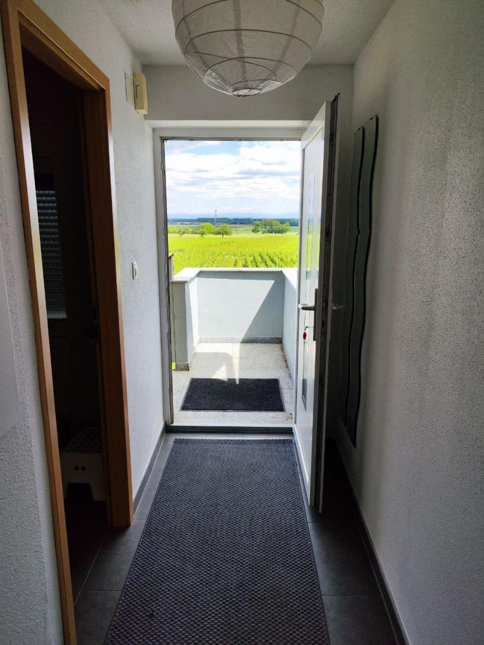 Bel Appartement En Centre Alsace 坎特赞 外观 照片